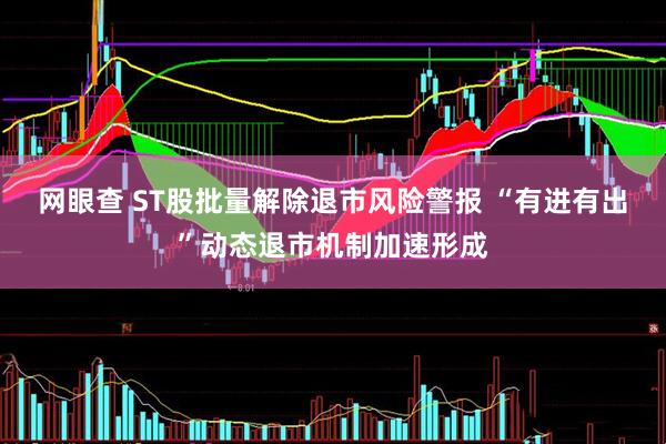 网眼查 ST股批量解除退市风险警报 “有进有出”动态退市机制加速形成
