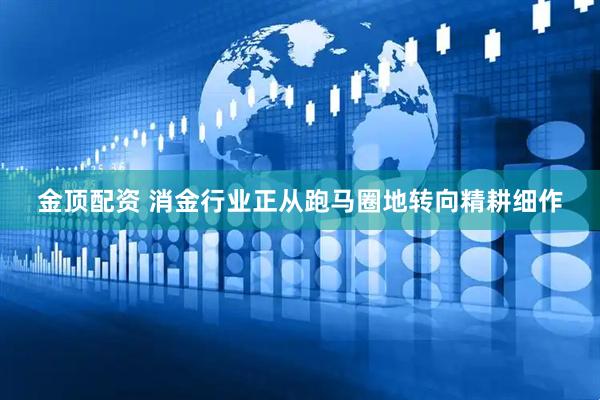 金顶配资 消金行业正从跑马圈地转向精耕细作