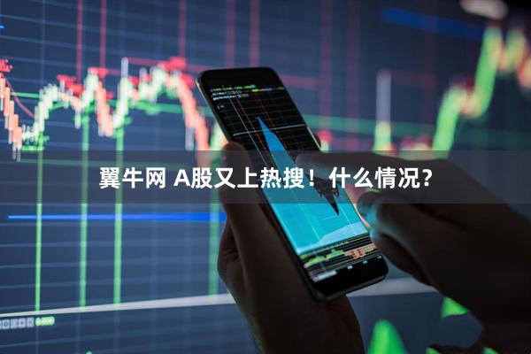 翼牛网 A股又上热搜！什么情况？