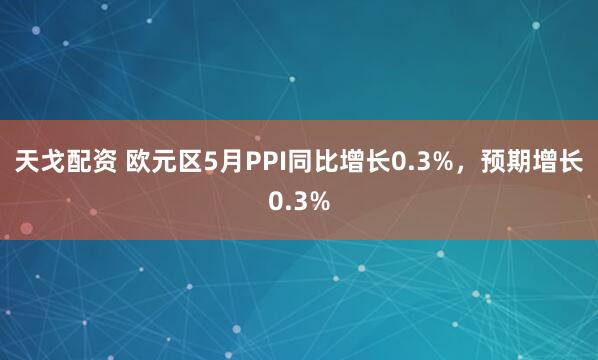 天戈配资 欧元区5月PPI同比增长0.3%，预期增长0.3%